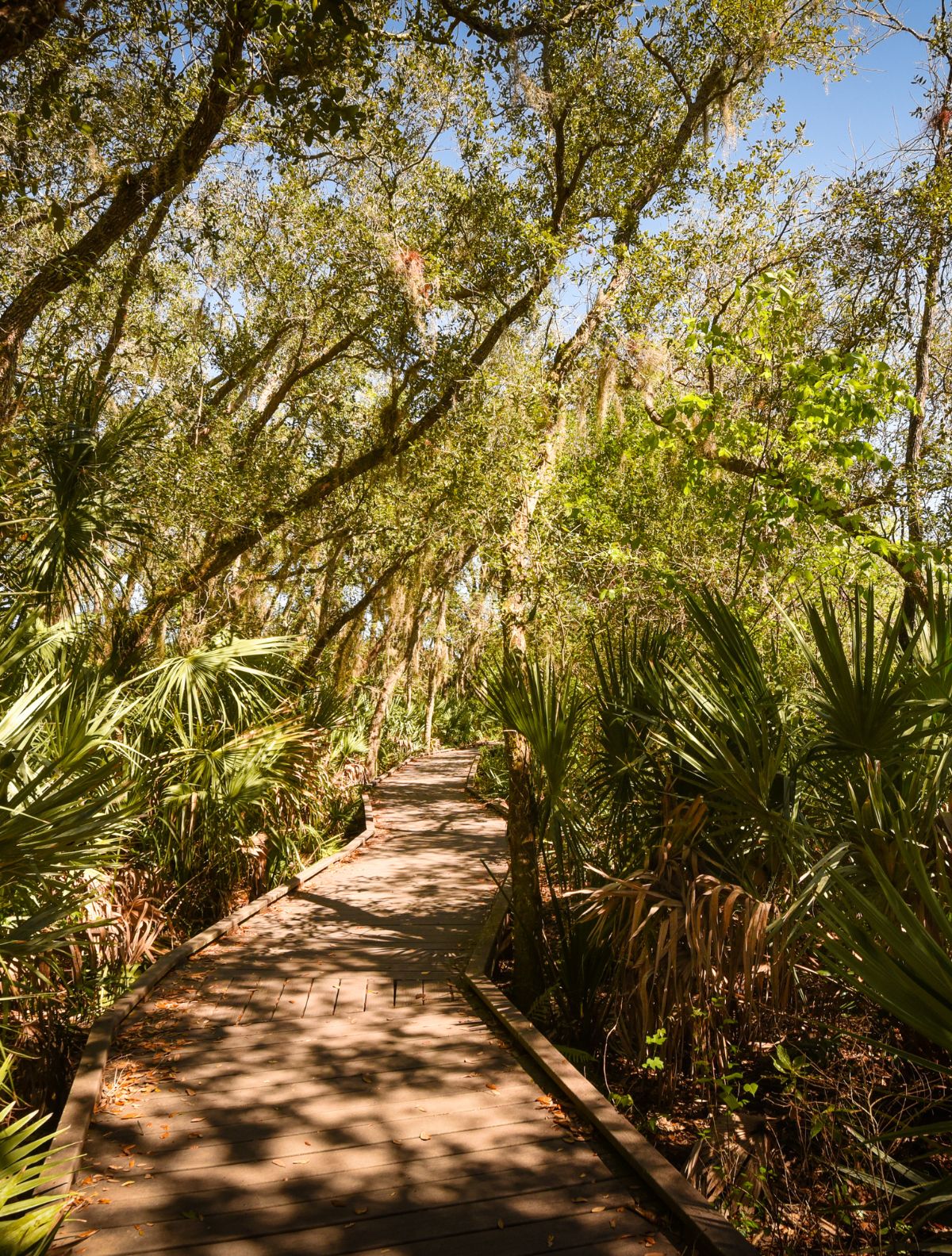 walking trail in florida